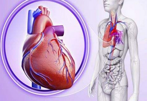 動脈硬化的危險因素有哪