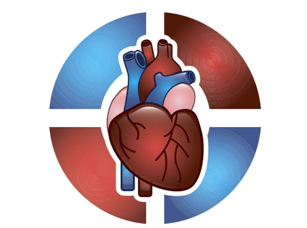 心臟報警的六個信號