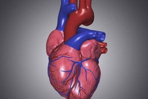 可以保護心臟的3個方法