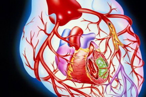 關(guān)于心臟病的檢查有哪些